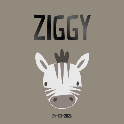 Stoer geboortekaartje voor een jongen met een zebra