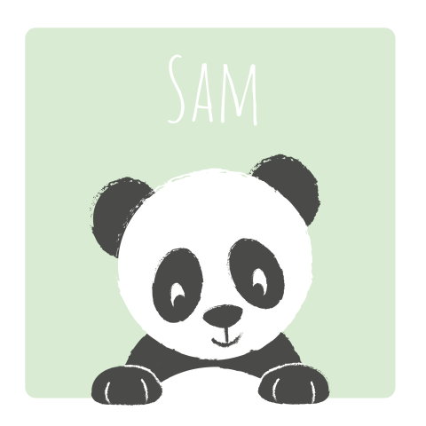 Geboortekaartje jongen met een pandabeer
