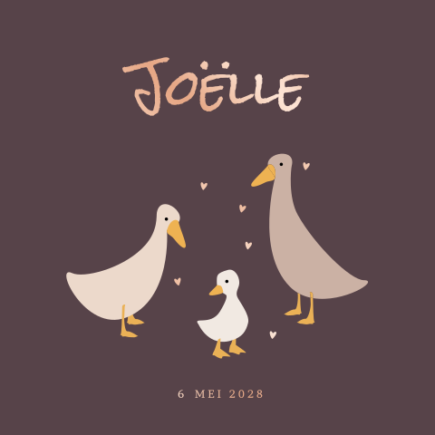 Geboortekaartje meisje gans familie met foliedruk