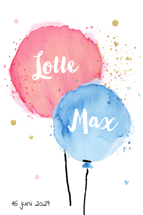 Tweeling geboortekaartje roze en blauwe ballon