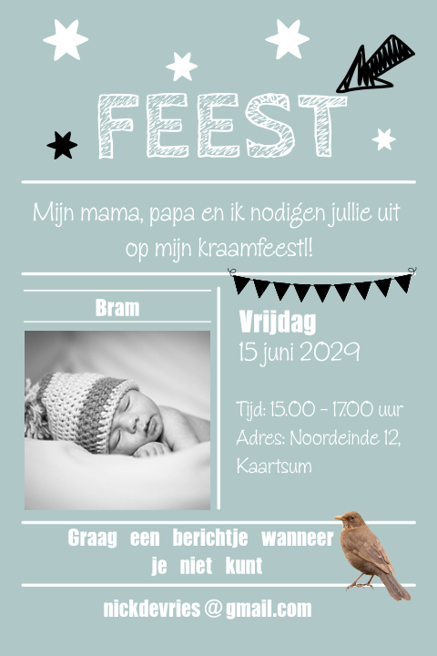 Kraam feest uitnodiging eigen foto en vogeltje