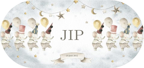 Lief geboortekaartje zoon met illustratie van feestende olifantjes.