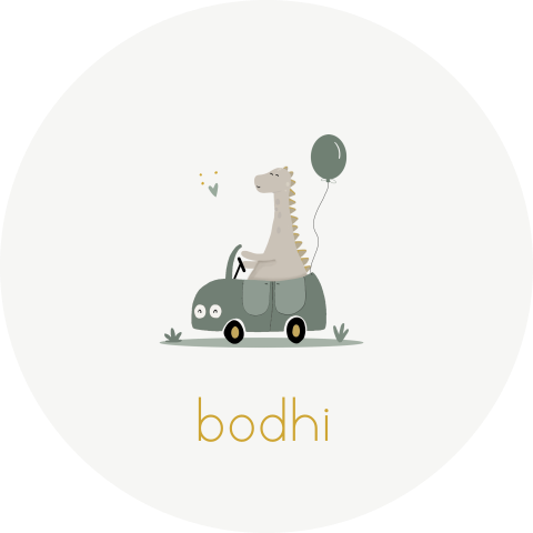 Sticker dino in auto blauwgroen