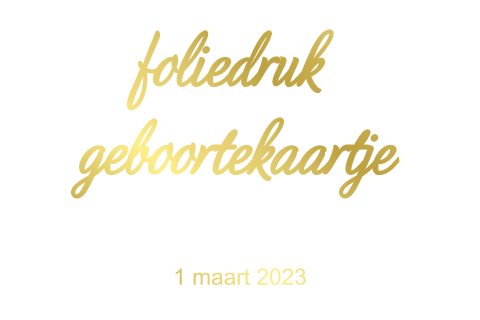 Blanco liggend geboortekaartje foliedruk enkelzijdig
