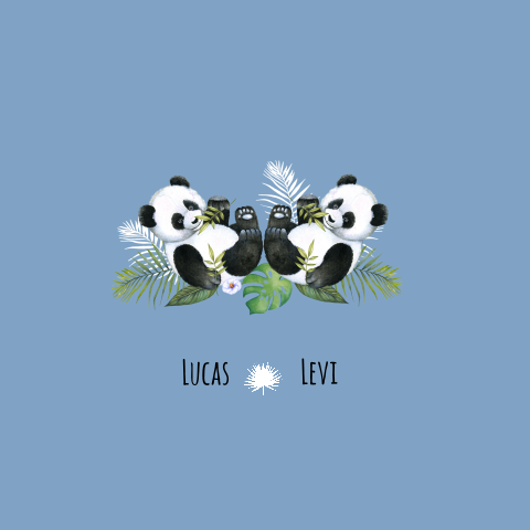 Geboortekaartje tweeling pandabeertje