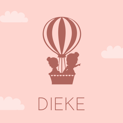Geboortekaartje luchtballon zusjes silhouet