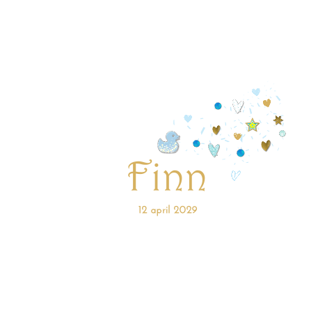 Klassiek jongens geboortekaartje met eendje