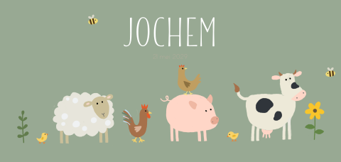 Geboortekaartje jongen boerderijdieren