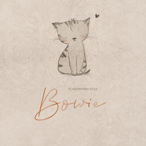 Warm neutraal geboortekaartje met kat