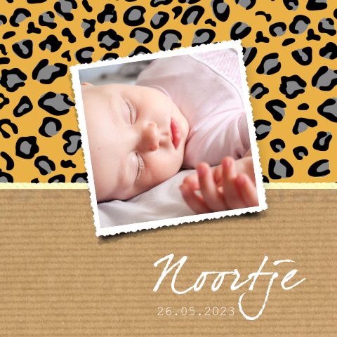 Foto geboortekaartje meisje kraft en panter pinter