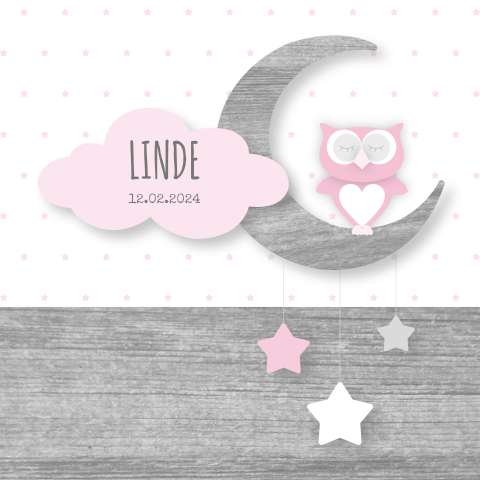 Lief geboortekaartje meisje met hout en uiltje 
