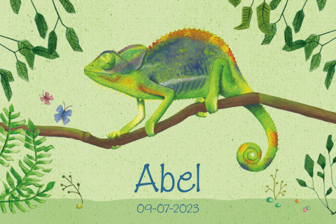 Geboortekaartje kameleon groen