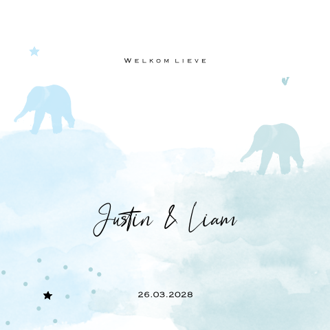 Lief olifanten tweeling geboortekaartje jongens