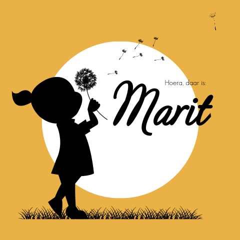 Geboortekaartje meisje silhouet paardebloem