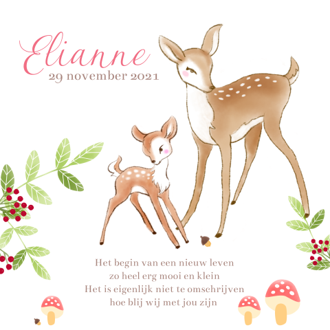 Geboortekaartje voor meisje met hertjes
