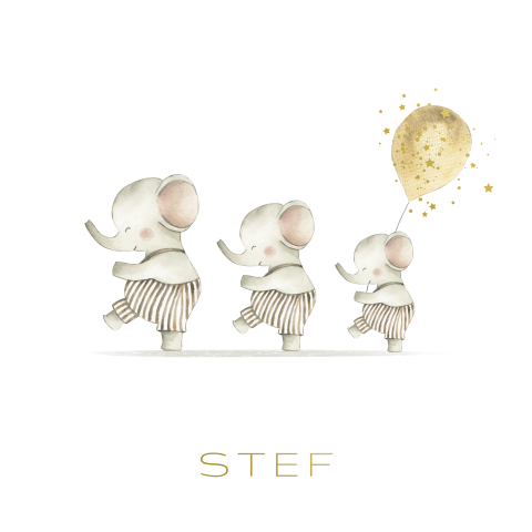 Lief geboortekaartje derde kindje met olifantjes