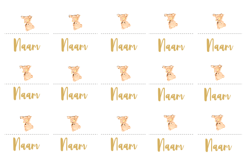 Naamkaartjes als tafeldecoratie bij een feestje met lief beertje