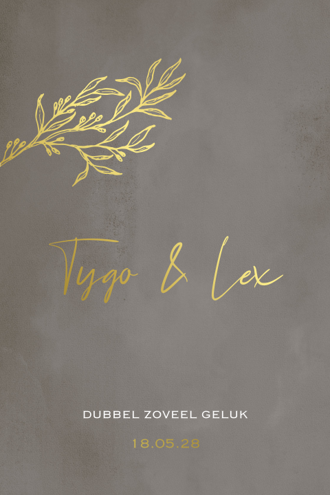 Minimalistisch geboortekaartje jongens tweeling