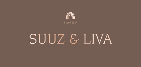 Hip bruin geboortekaartje twins met foliedruk regenboog