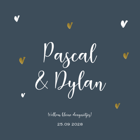 Hip donkerblauw tweeling geboortekaartje jongens