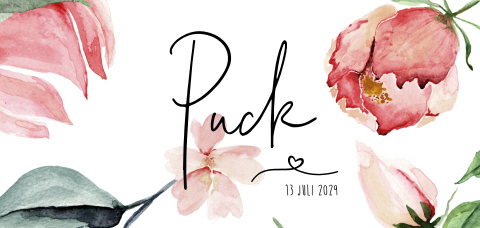 Geboortekaartje hip met aquarel roze bloemen