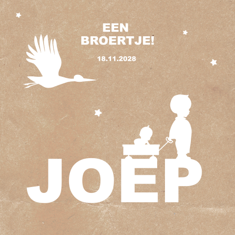 Leuk geboortekaartje met silhouet van jongen en broertje