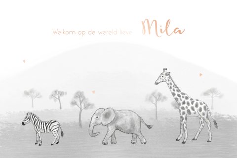 Geboortekaartje meisje savannedieren