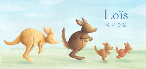 Geboortekaartje derde kindje vrolijke kangoeroes