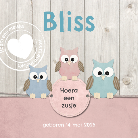 Geboortekaartje voor meisje met uiltjes en stempel op hout