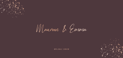 Hip donkerpaars tweeling geboortekaartje meisjes