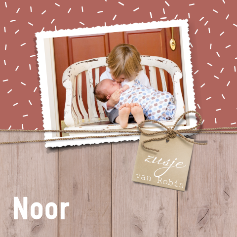 Zusje geboortekaartje met foto grote broer terra