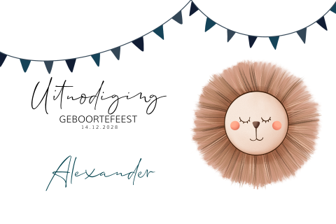 Uitnodiging geboortefeestje