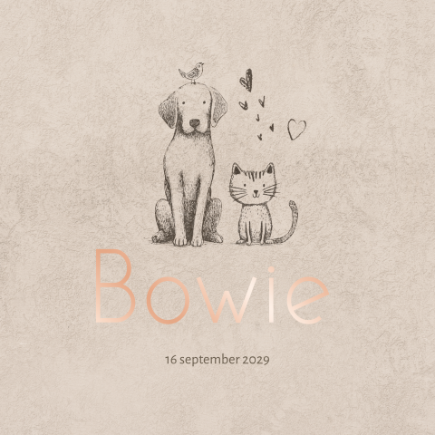 Warm neutraal geboortekaartje met hond, kat en vogel