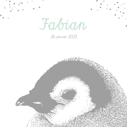 Geboortekaartje voor een jongen met pinguin