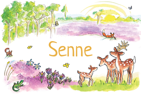 Lief geboortekaartje voor een meisje met hertjes en zon