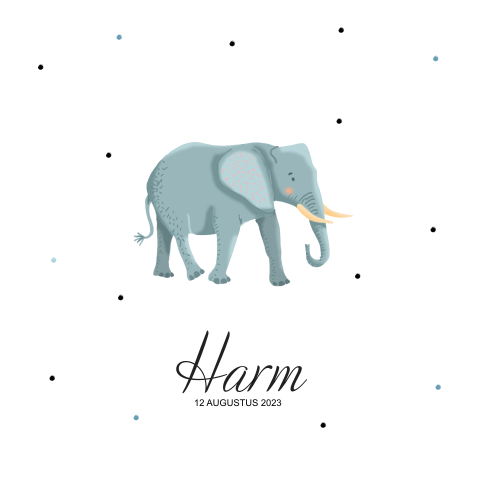 Geboortekaartje voor een jongen met olifant