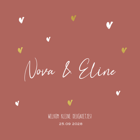 Hip geboorte kaartje meisjes tweeling foliedruk hartjes