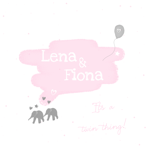Lief roze olifanten tweeling geboortekaartje meisjes