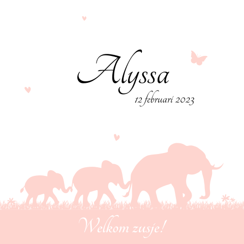 Geboortekaartje met olifanten voor meisje