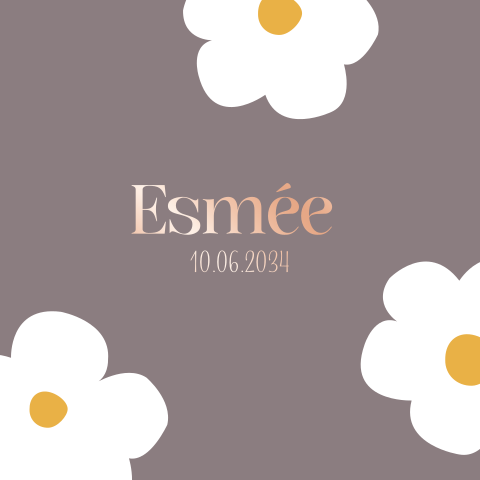 Geboortekaartje met madelief in paars met rosefolie