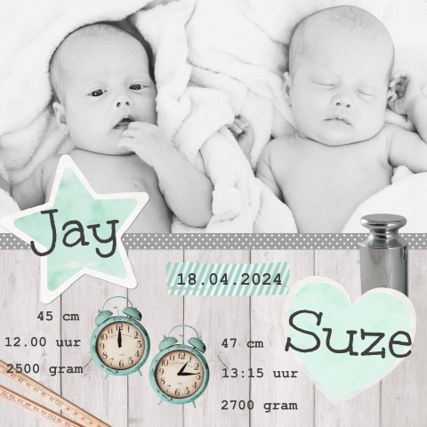 Origineel tweeling geboortekaartje voor een jongen en meisje