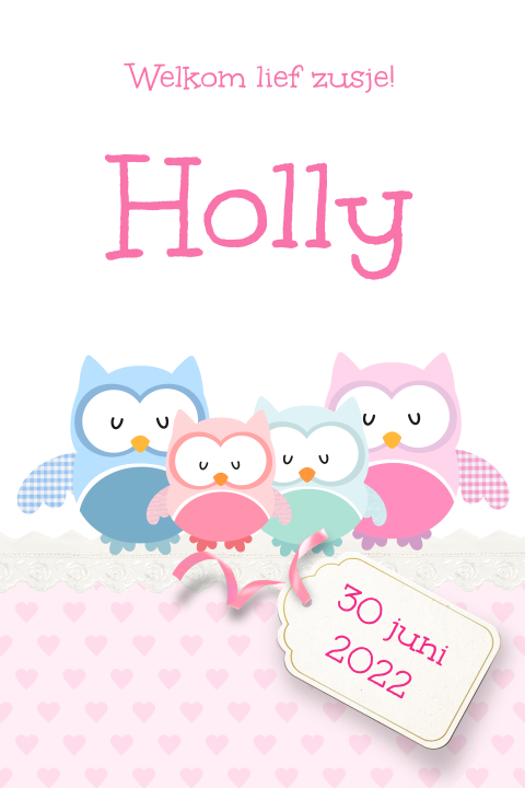 Geboortekaartje zusje met uiltjes 