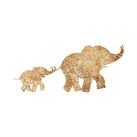 Sluitsticker wit met gouden olifantjes