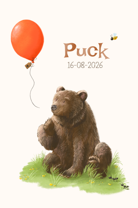 Geboortekaartje met een beertje met ballon