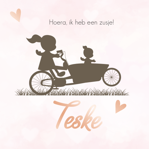 Geboortekaartjesilhouet bakfiets zusjes foliedruk