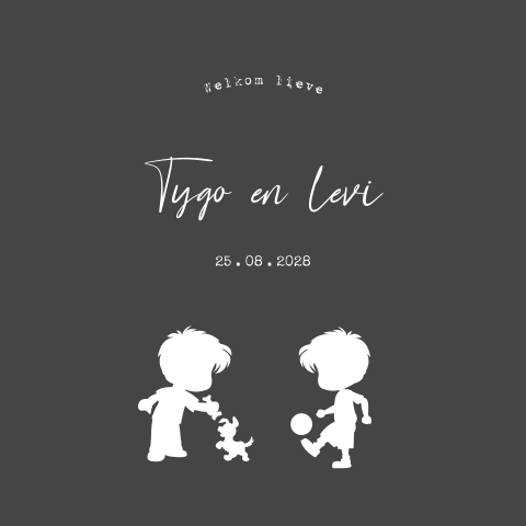 Stoer silhouet geboortekaartje tweeling jongens