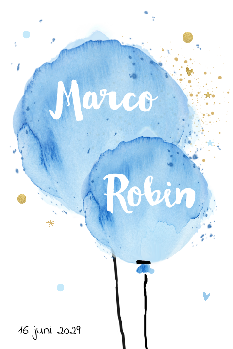 Hip geboortekaartje blauwe ballonnen tweeling jongen