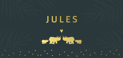 Geboortekaartje met familie neushoorn voor 2e kindje of tweeling