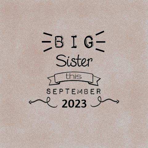 Zwangerschapsaankondiging grote zus big sister