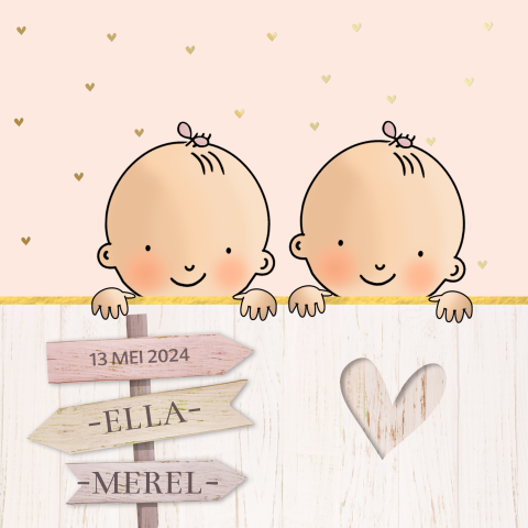 Geboortekaartje tweeling meisje met sloophout
